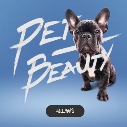 白山宠物中心小程序开发