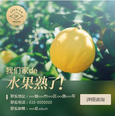 白山果园果林小程序开发